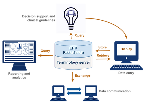 SNOMED in the EHR (2).png